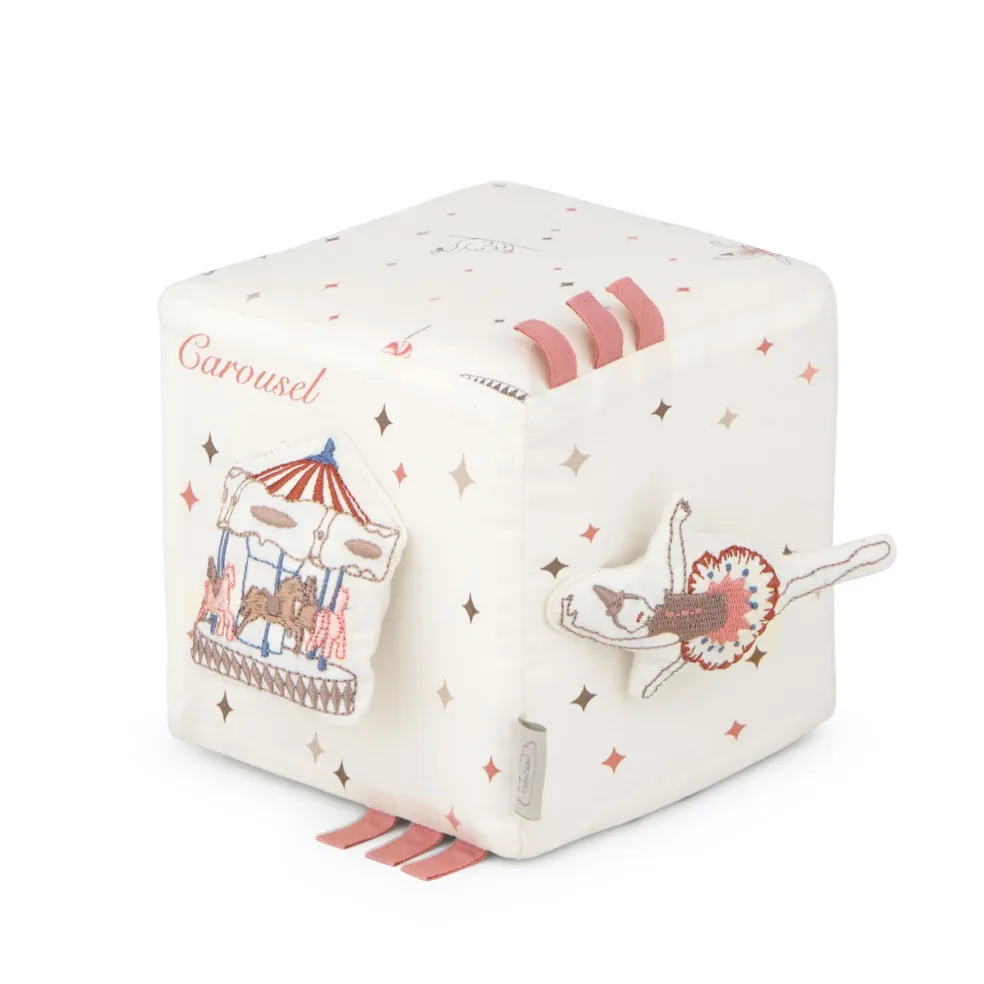 Aktivitetskub Carousel