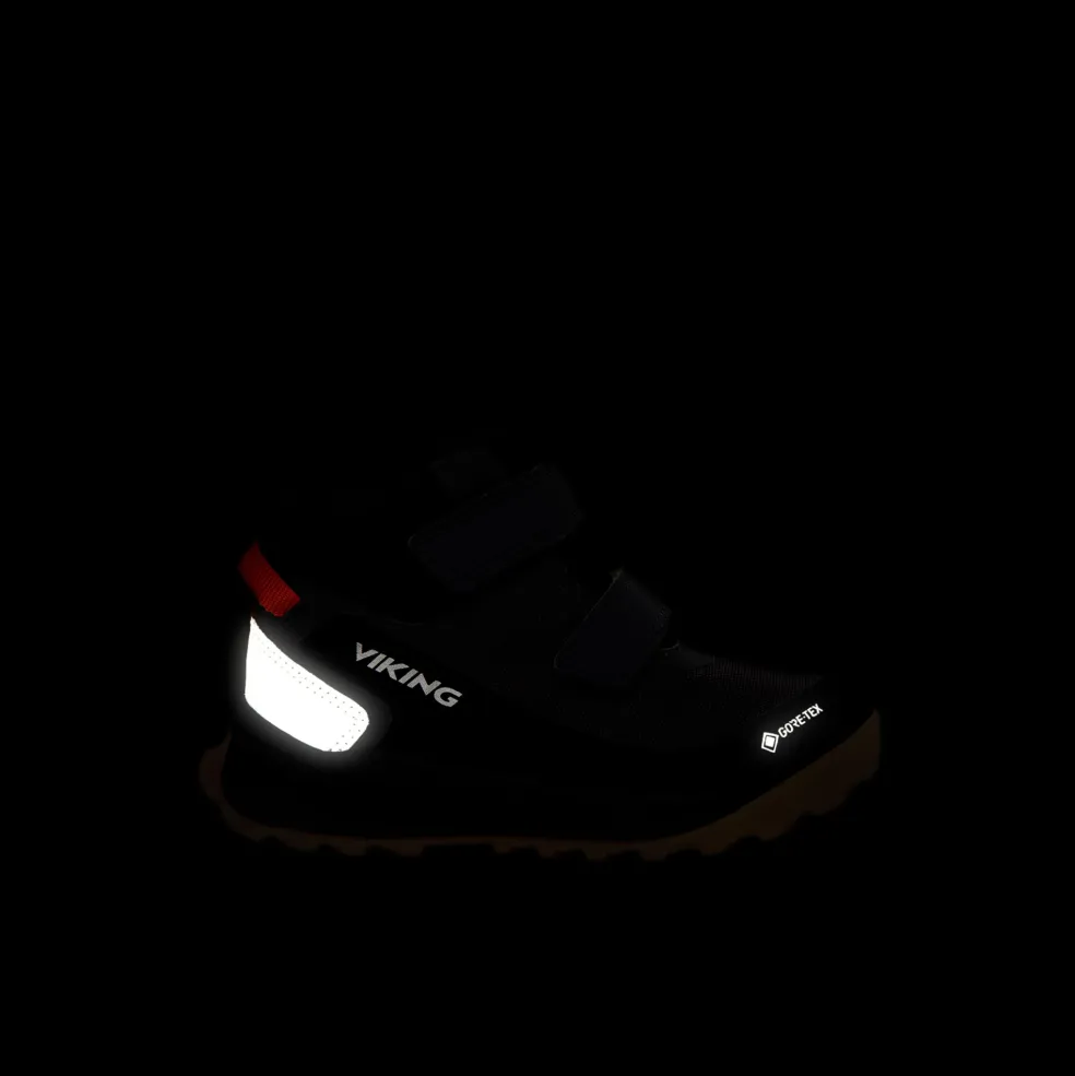 Expower Mid GTX 2V Vattentäta Skor Black