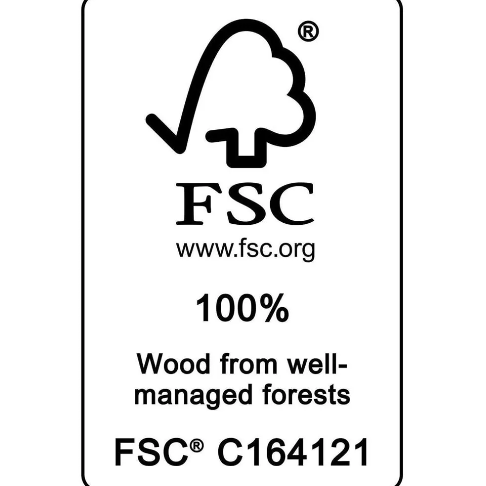 FSC 100% Mini Cornhole Spel