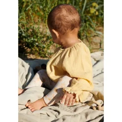 Merle Blus Pale Apricot