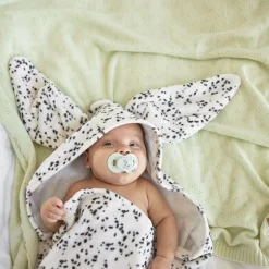 Napp Darling Dalmatians