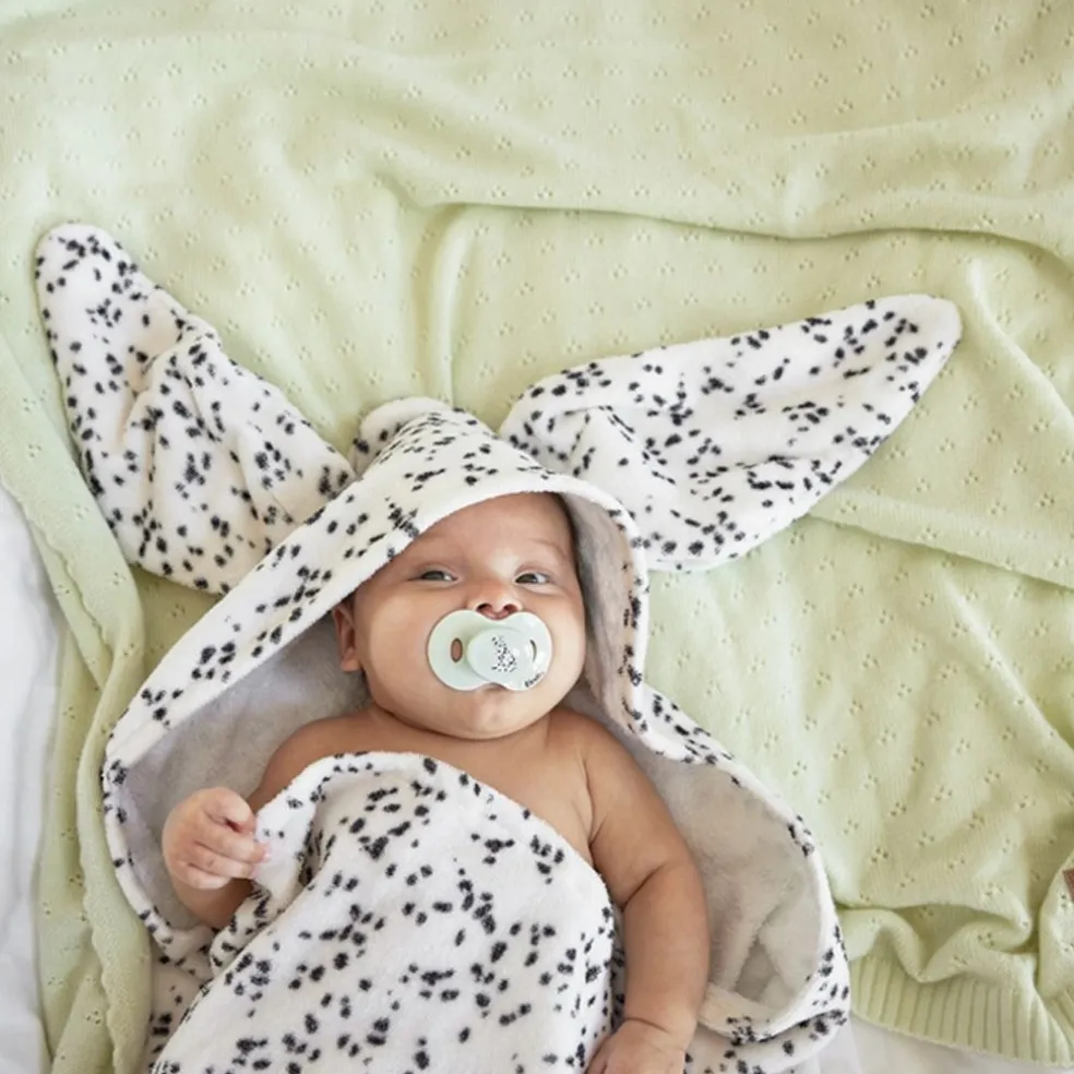 Napp Darling Dalmatians