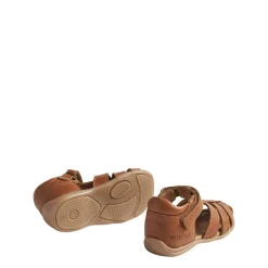Robbie Sandaler Cognac