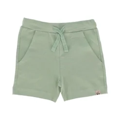 Villvette Shorts Green Fog